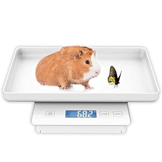 MINDPET-MED 11lbs/0.1g Pet Scale for Small Animal, Whelping Scale, Guinea Pig Weighing Scale, High Precision 0.003oz, Suitable for All Newborn Pets, Kittens, Turtles,