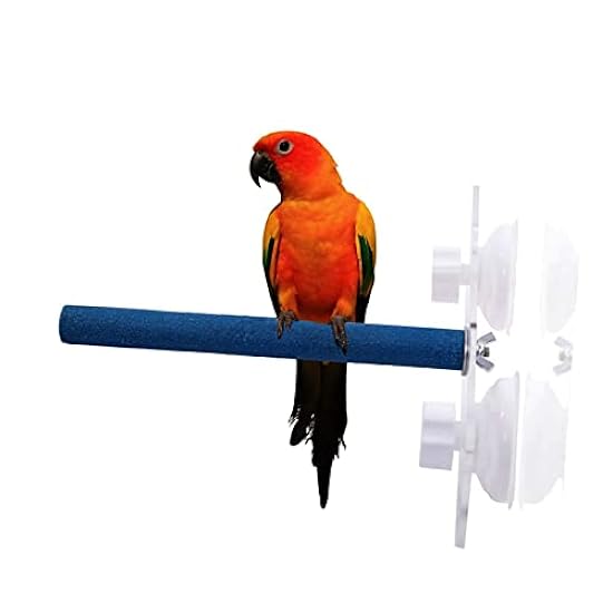 FOMIYES 4pcs Bird Stand with Suction Cup Parakeet Bird Cage Parrot Standing Rod Parakeet Cage Accessories Parrot Shower Perch Perches Wood Toy Parrot Plaything Acrylic Xuan Feng
