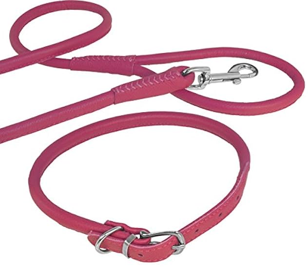 Dogline Soft Padded Rolled Round Leather Dog Collar (W 1/3-in x L 13 to 16-in) and Leash (W 3/8-in x L 6ft) for Dogs, Pink