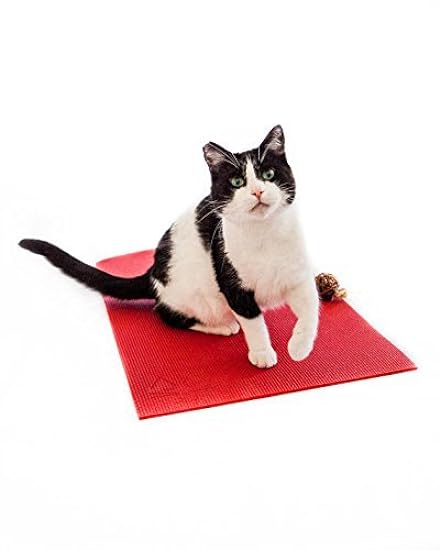 Feline Yogi Cat Yoga Mat with Catnip Cat Toy. Cat Scrat