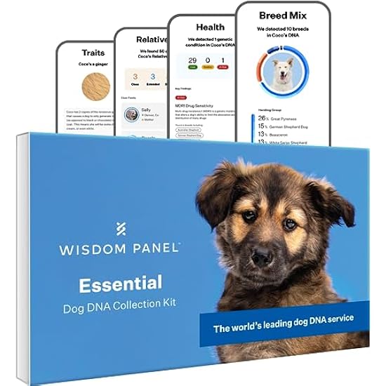 Wisdom Panel Essential Dog DNA Kit: Most Accurate Test 