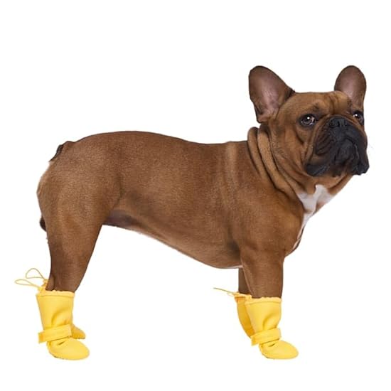 Canada Pooch Soft Shield Dog Rain Boots - Dog Boots & Paw Protectors with Anti Slip Rubber | Easy On Waterproof Boots for Dogs with Velcro Strap, Great for Dogs