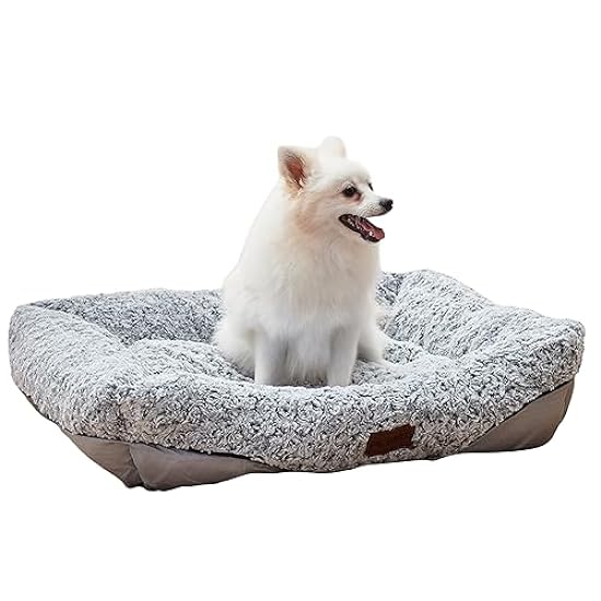 Swirl Rose Velvet Small Dog Bed, Removable Cushion Calming Dog Sofa Beds, Anti-Anxiety Machine Washable Anti-Slip Dog Beds Cat Beds,Dog Beds for Small Medium Dogs (Large, Light Grey)