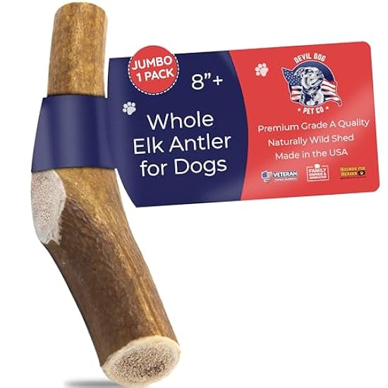 Devil Dog Pet Co Antler Dog Chew - Premium Elk Antlers for Dogs - Long Lasting Dog Bones for Aggressive Chewers - No Mess No Odor - Wild Shed in The USA - Veteran Owned (Jumbo)