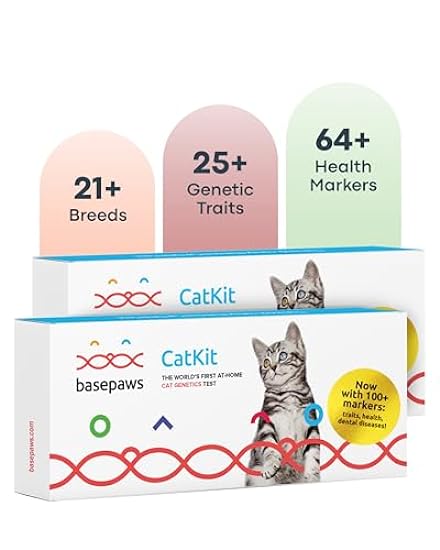 Basepaws Cat DNA Test Kit 2 Pack- Comprehensive Breed, Health and Dental Analysis Across 114 Traits for Accurate and Easy-to-Use Genetic Insights