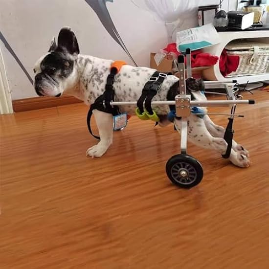 Portable Pet Wheelchair Aluminum 2 Wheels Dog Wheelchair Walking Tool Dog Cart Removable Rear Leg Dog Wheelchair