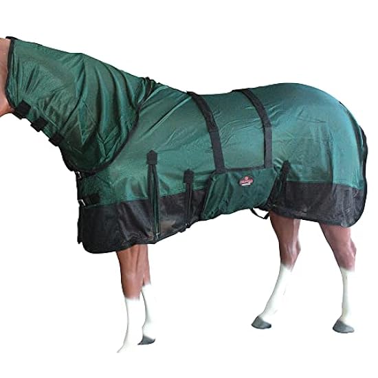 Hunter Green with Black 78 in HILASON Horse Ultra Violet Rays Protect Mesh Bug Mosquito Horse Fly Sheet Summer Spring