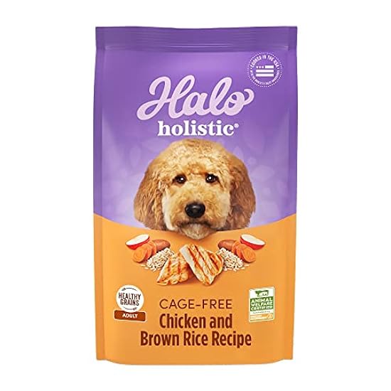Halo Holistic Adult Dog Healthy Grains Cage-Free Chicken & Brown Rice Recipe 10 lb