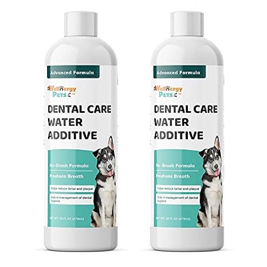 Wellnergy Pets Dental Care Water Additive for Dogs & Cats 2 Pack – No Brush Formula, Oral Hygiene & Fresh Breath, Reduce Plaque and Tartar. 16 FL OZ Each Bottle