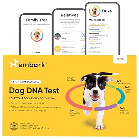 Embark Breed Identification Kit | Most Accurate Dog DNA