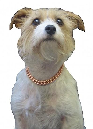 Copper Magnetic Therapy Dog Collars Made to Measure in Solid Copper with Magnets (30 inch)