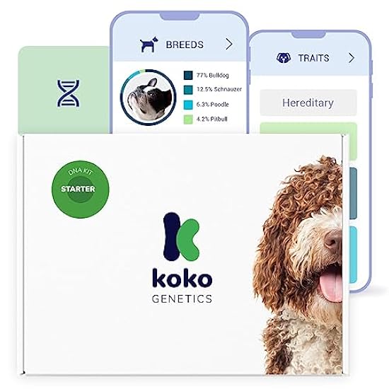 Koko DNA Test for Dogs Starter - (Breeds and Traits Rep