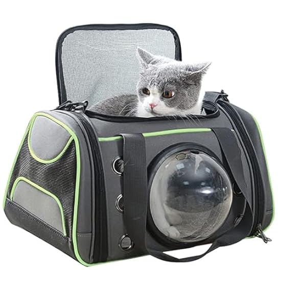 RUYICZB Pet Carrier Airline Approved, Cat Carriers Bags