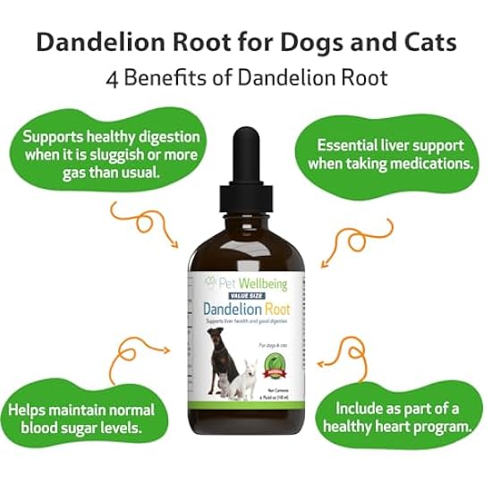 Pet Wellbeing Dandelion Root for Dogs & Cats - Liver, Digestive, Cardiovascular, Blood Sugar Support - Natural Herbal Supplement 4 oz (118 ml)