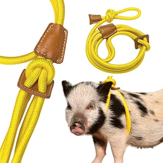 PORCINE Mini Pig Harness & Leash (S/M, Marigold) Fully Adjustable Infinity Style Lead Potbelly Supplies 9 Feet Long 1/2 Inch Rope Diameter, All-in One, Leash, Ideal for Small to Medium Pet Pigs,