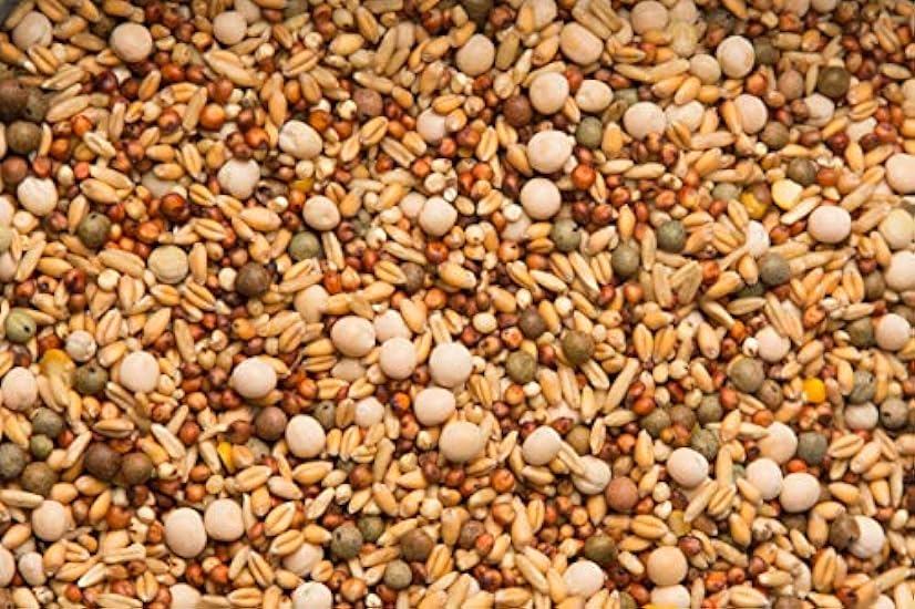 Purgrain Daily 14% no corn–50 lb bag