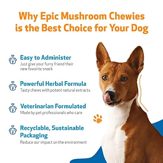 Pet Wellbeing Epic Mushroom Chewies for Dogs - Vet-Formulated - Immune Support, Cognitive Health, Adaptogenic Stress Support with Reishi, Chaga, Lion´s Mane Medicinal Mushrooms - 90 Soft Chews