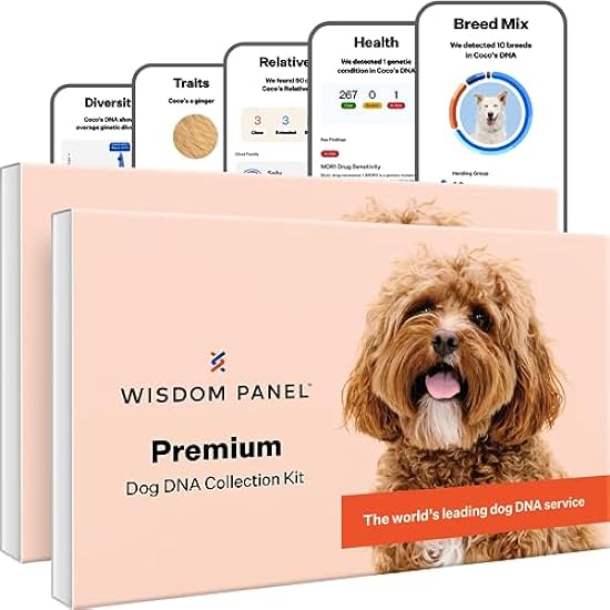 Wisdom Panel Premium Dog DNA Kit: Most Comprehensive with 265+ Health Tests, Identify 365+ Dog Breeds, 50+ Traits, Relatives, Ancestry, Genetic Diversity - 2 Pack