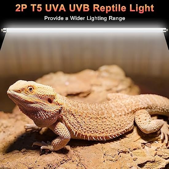 LUCKY HERP 2 Pack T5 UVB 10.0 Reptile Light 39W, UVA UVB Fluorescent Lamp Tube, UVB Lighting Bulb for Turtles, Chameleon, Tortoises, Lizard