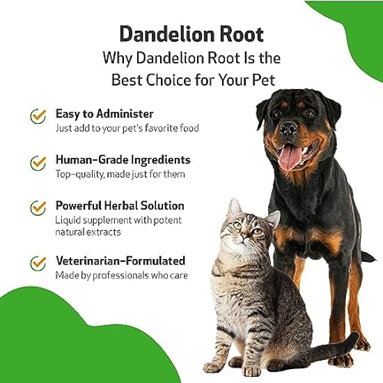 Pet Wellbeing Dandelion Root for Dogs & Cats - Liver, Digestive, Cardiovascular, Blood Sugar Support - Natural Herbal Supplement 4 oz (118 ml)