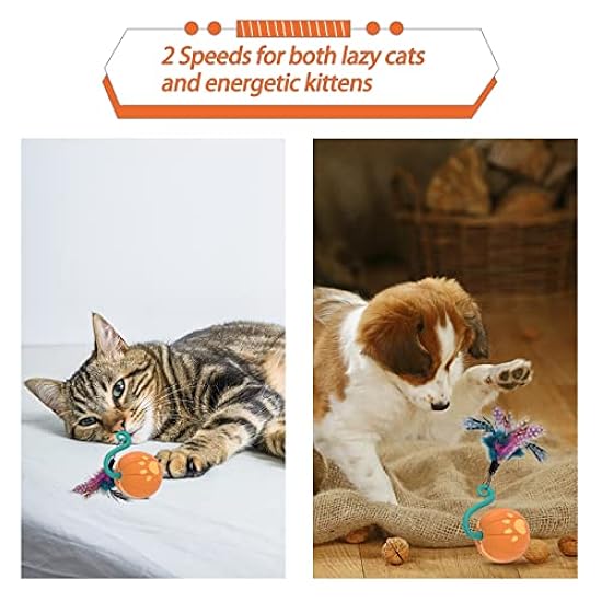 GOGODOGYA USB Interactive Cat Toy Ball and Suction Cup Cat Slow Feeder Bowl Set