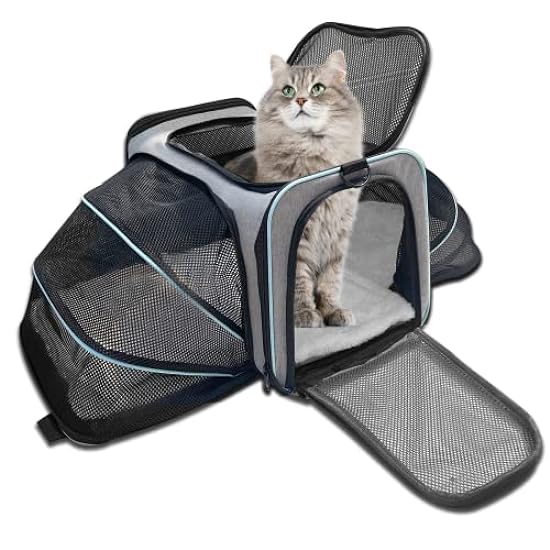 FurryFrenz Airline Approved Pet Carrier | Expandable Pet Carrier for Cat, Dog & Small Animals | TSA Approved Cat Dog Carrier | Portable| Cat Soft-Sided Carriers, Pet Supplies | 18x11x11 In | Grey/Blue