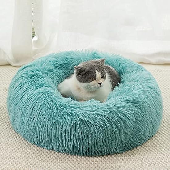 Cat Bed for Indoor Cats Calming Donut Cat and Dog Bed A